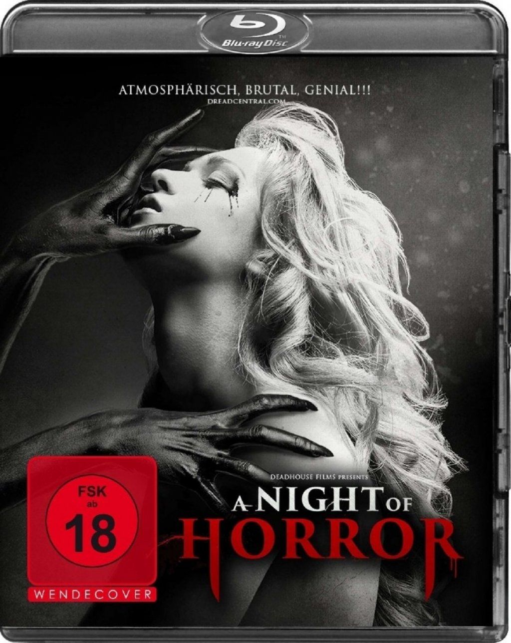 Night of Horror, A (BLURAY)
