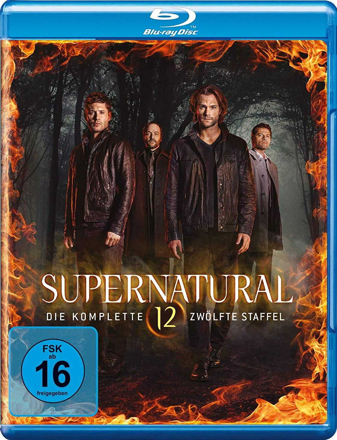 Supernatural - Die komplette zwölfte Staffel (4 Discs) (BLURAY)