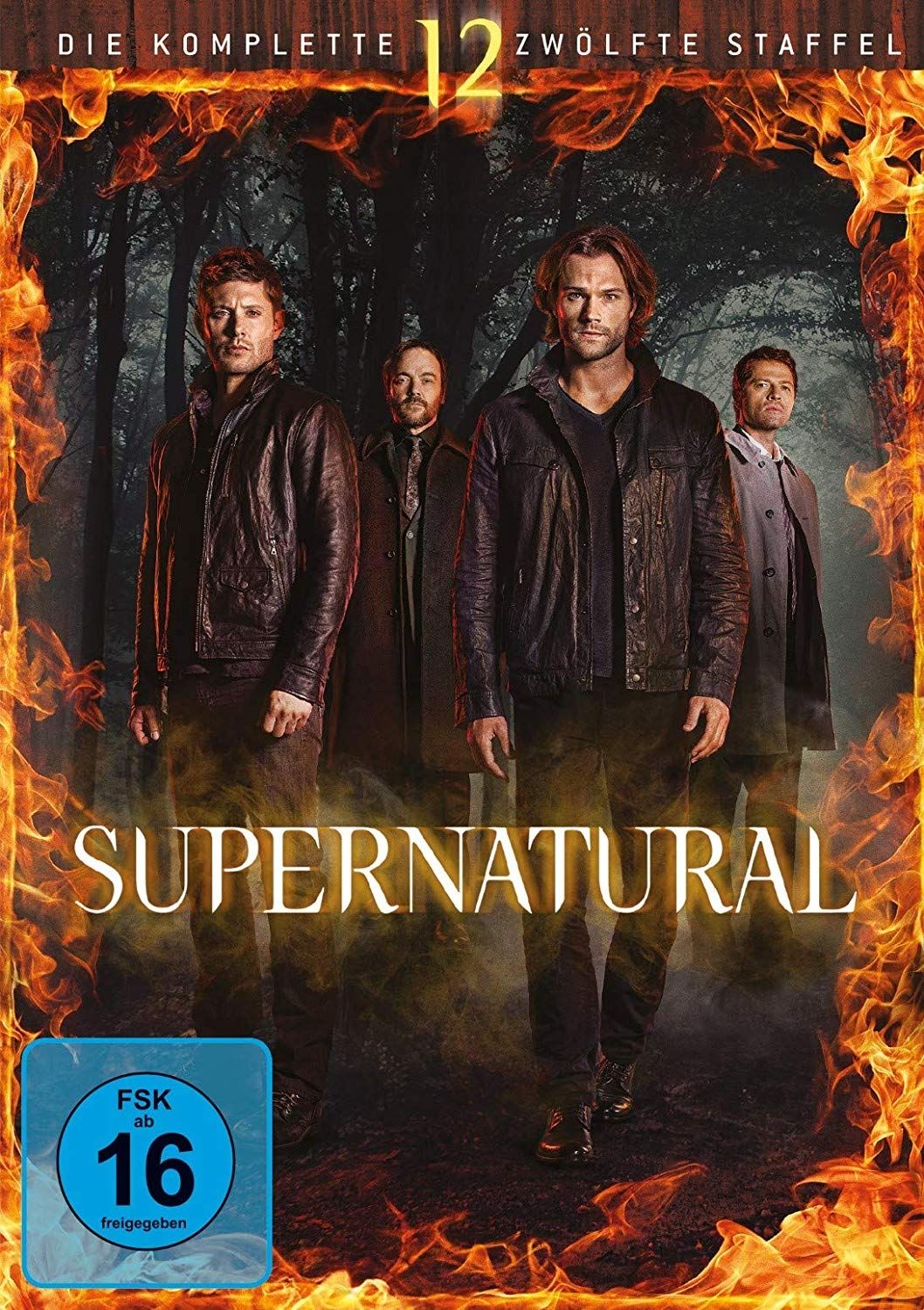Supernatural - Die komplette zwölfte Staffel (6 Discs)