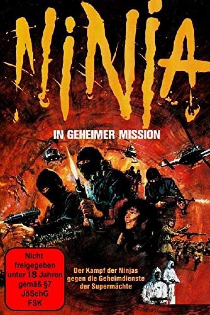 Ninja - In geheimer Mission
