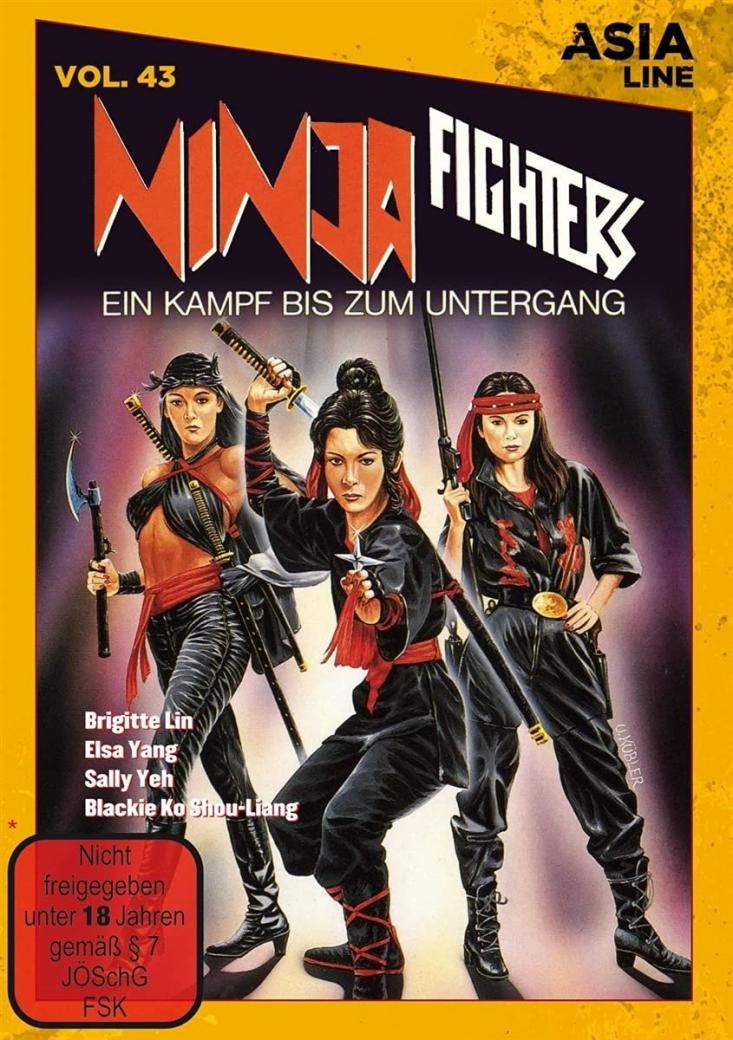 Ninja Fighters