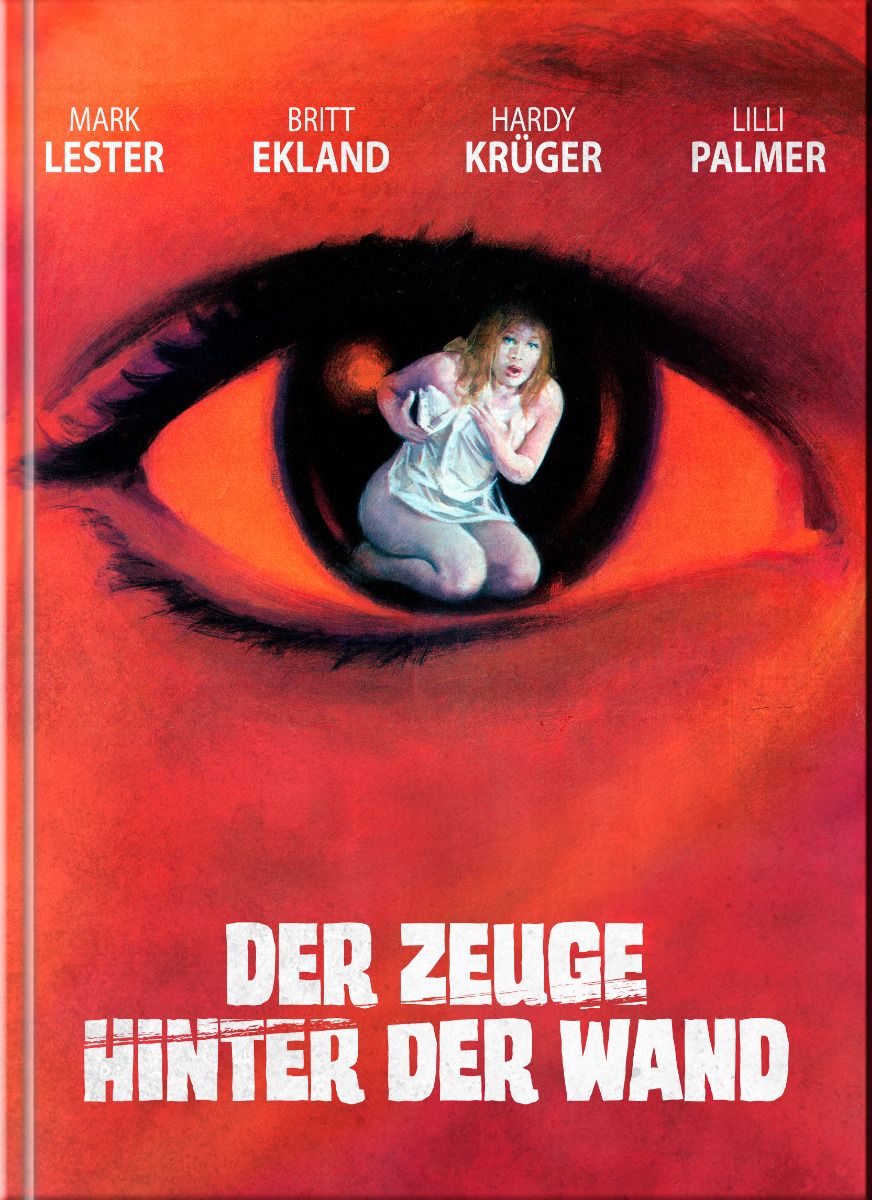 Der Zeuge hinter der Wand (Diabolisch) - Cover D - Mediabook (Blu-Ray+DVD)
