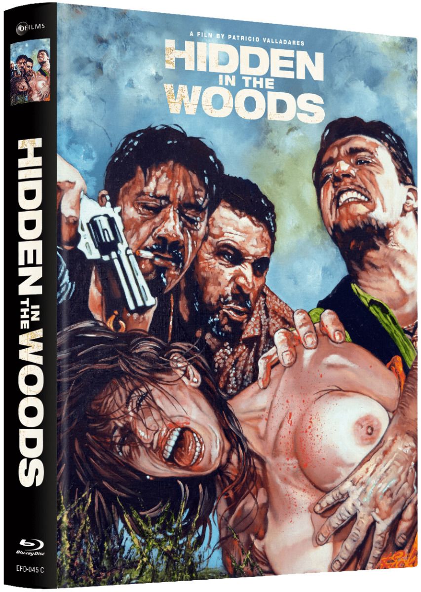 Hidden in the Woods (2012) - Cover C - Mediabook (Blu-Ray+2DVD) - Limited 333 Edition